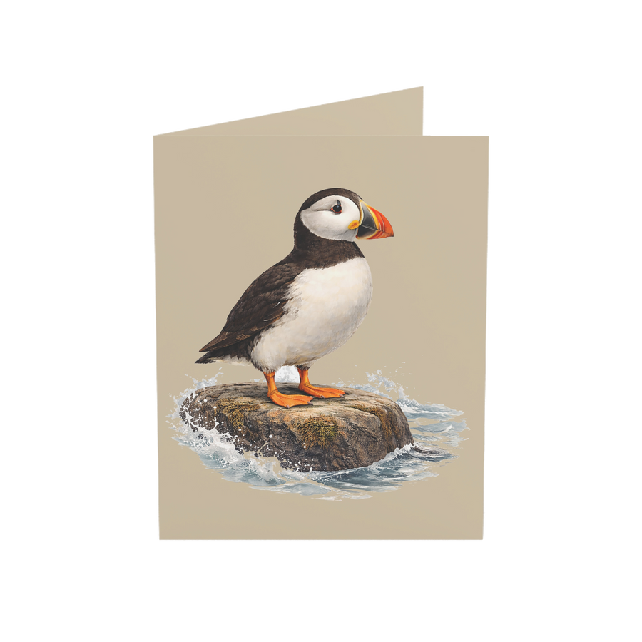 Coastal puffin standing on a wave-washed rock on a blank greeting card