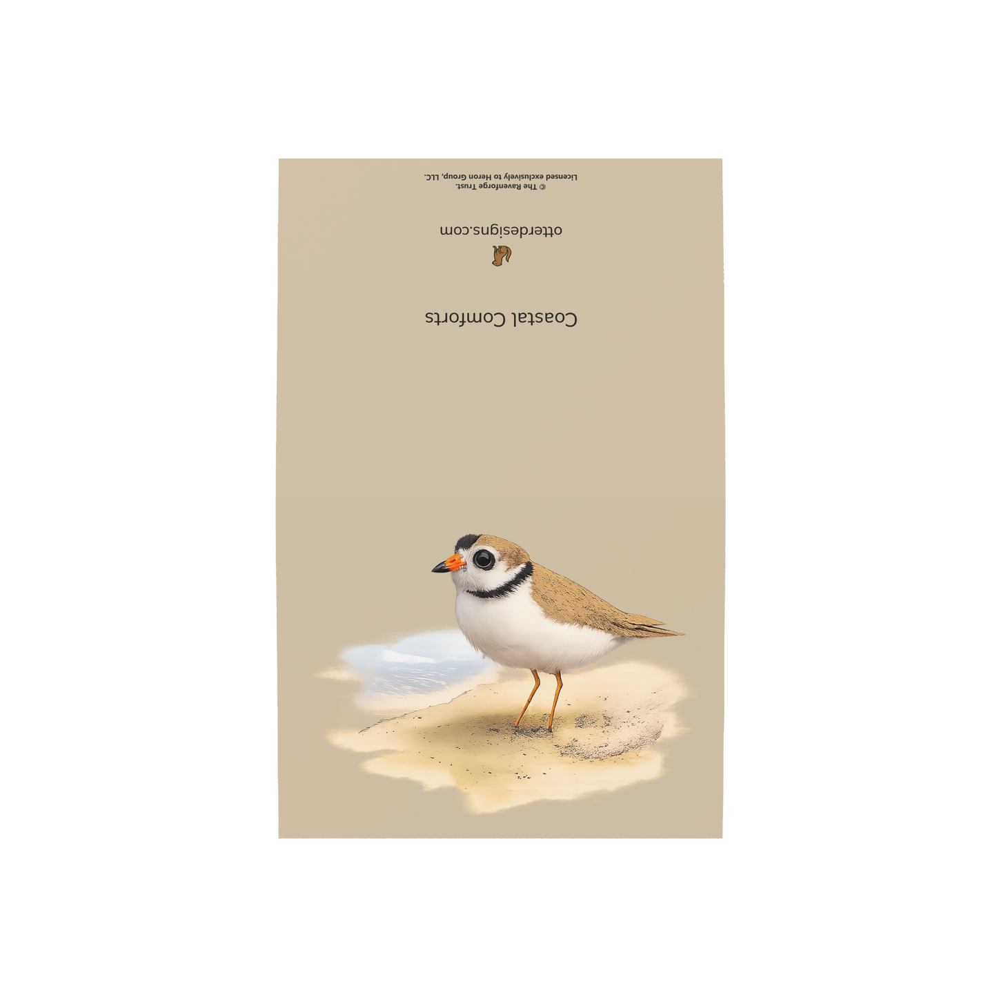 Coastal Plover Greeting Cards, 10ct
