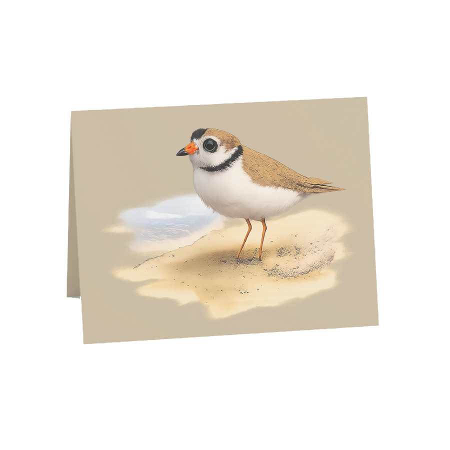 Coastal Plover Greeting Cards, 10ct