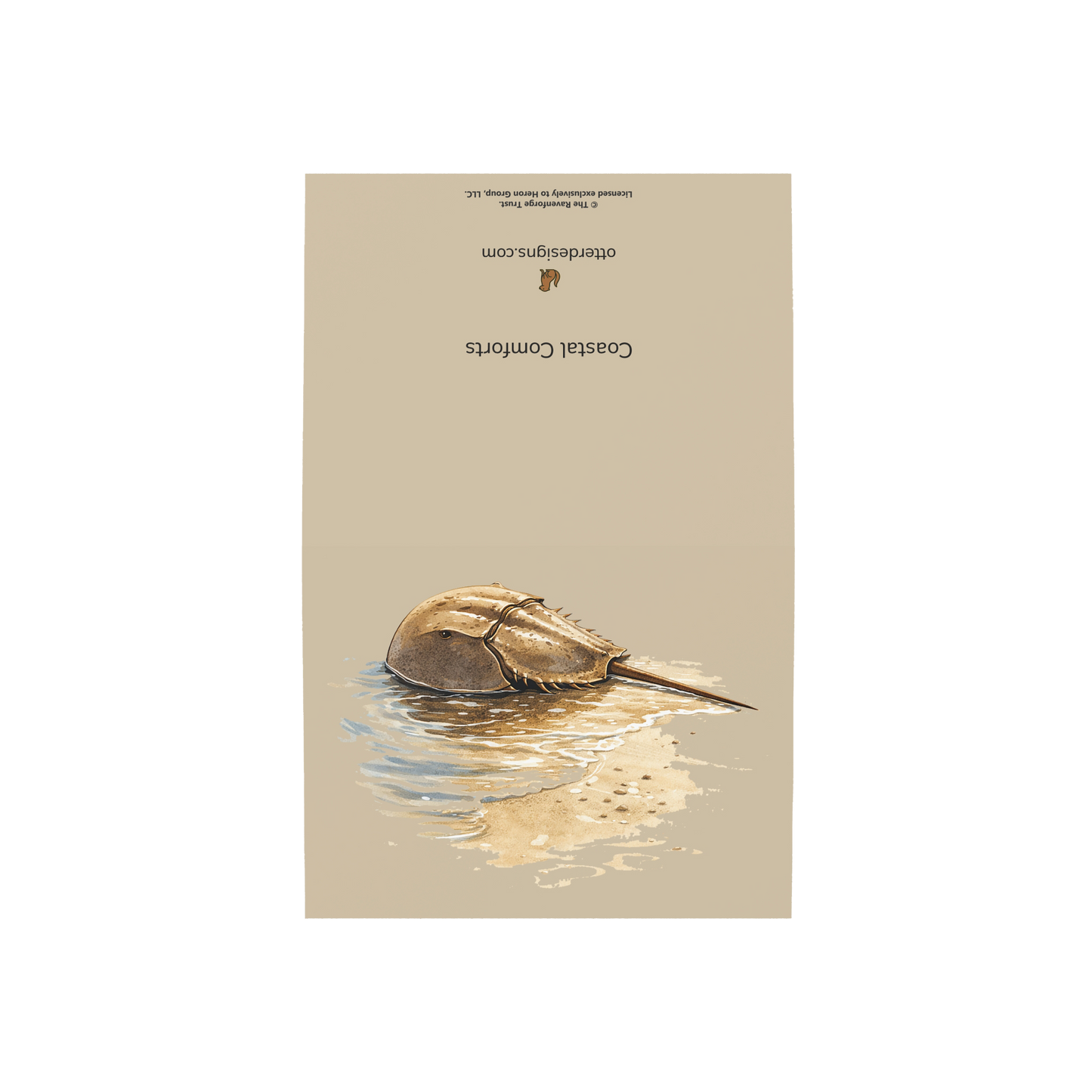 Coastal Horseshoe Crab Greeting Cards, 10ct