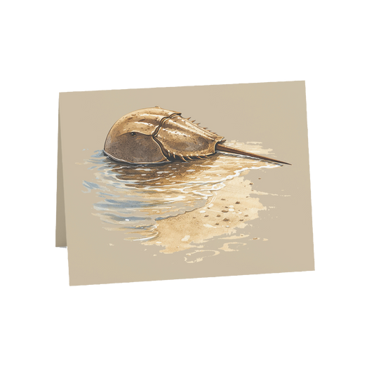 Coastal Horseshoe Crab Greeting Cards, 10ct