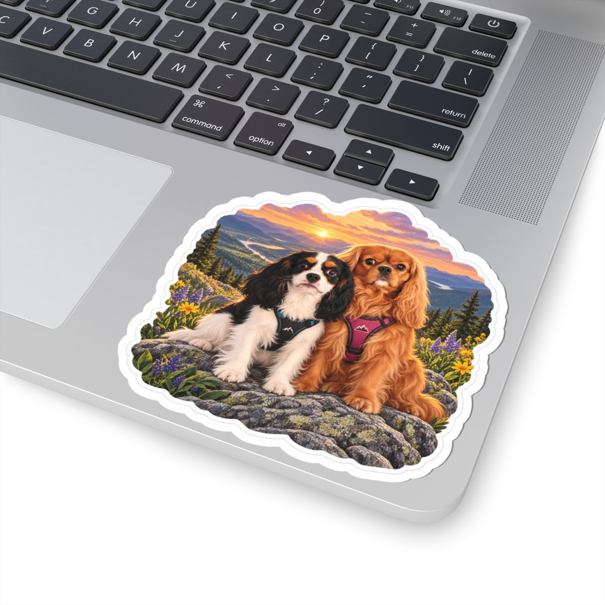 Better Together sunset sticker featuring Willow and Rowan, ruby and tricolor Cavalier King Charles Spaniels, shown in a product mockup.