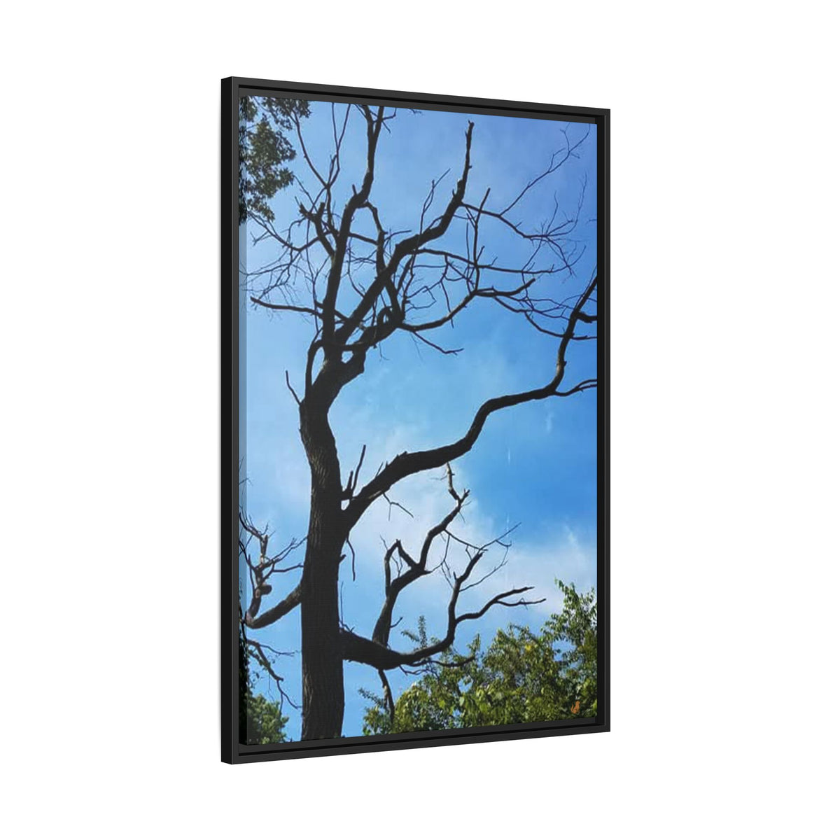 Winter Bones, Framed Canvas Print