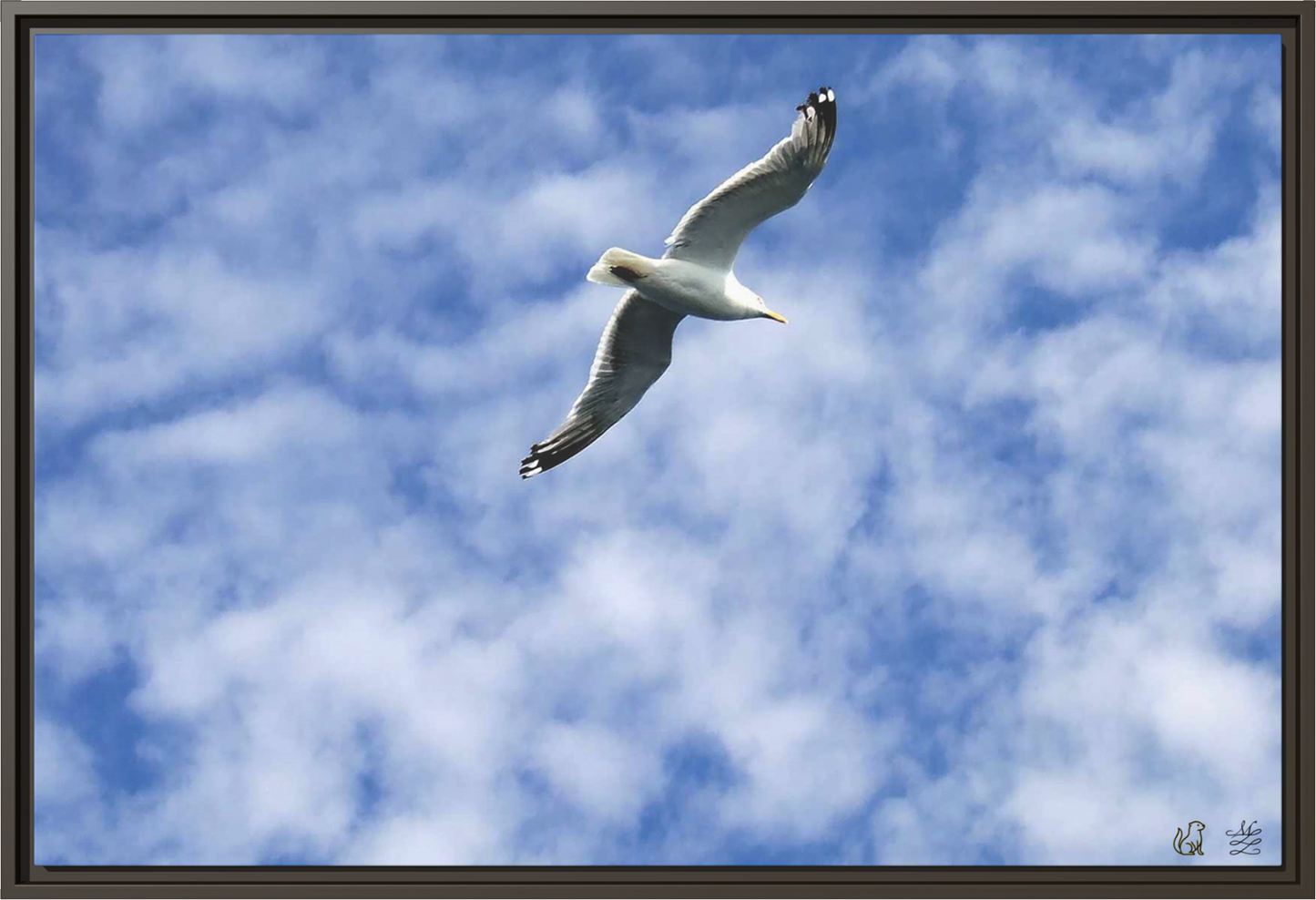 Flight of Solace Framed Matte Canvas Print